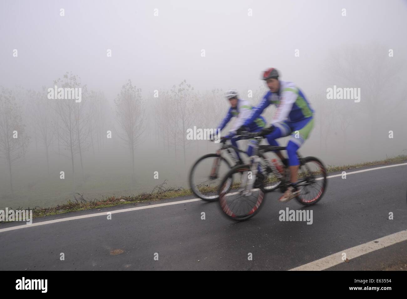 Luzzara (Reggio Emilia) pista ciclabile sulla sponda del fiume Po Foto Stock
