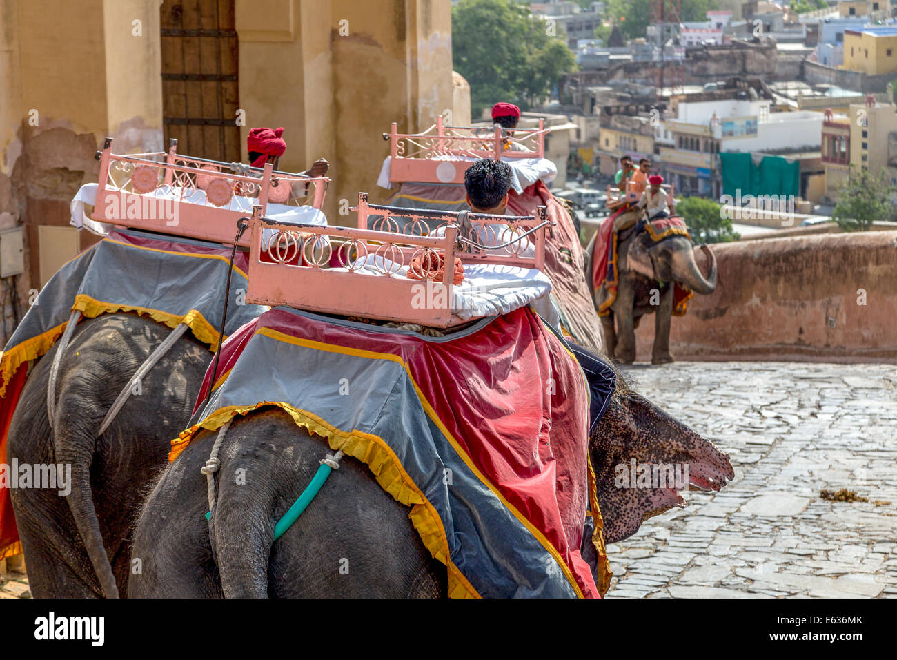 Jaipur, India - Giugno 2014: elephant al Forte Amber, magnifico palazzo fortificato vicino a Jaipur. Questo maharajah residence Foto Stock