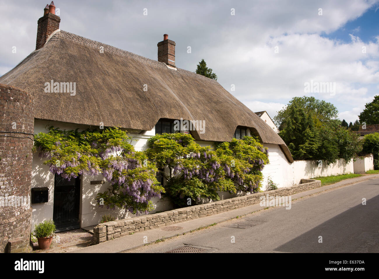 Regno Unito Inghilterra, Dorset, Okeford Fitzpaine, il glicine-hung cottage con il tetto di paglia Foto Stock