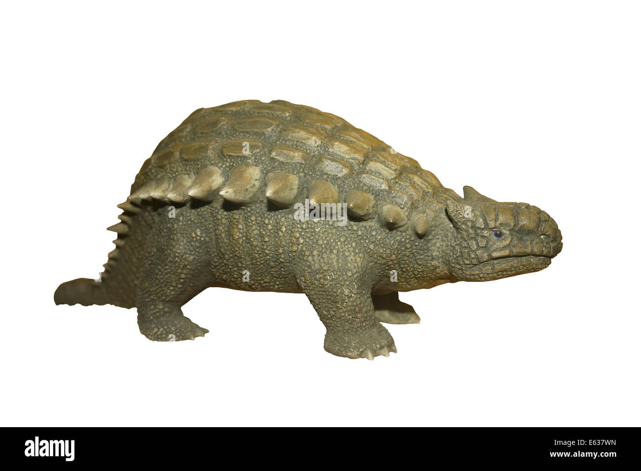 Modello di dinosauro di Ankylosaurus Foto Stock