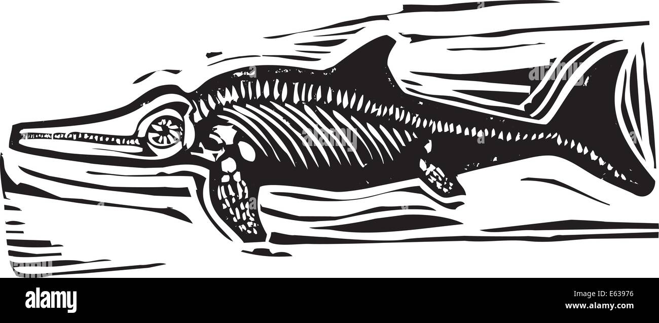 Semplice ruvida xilografia raffigurazioni di stile di un Ichthyosaur fossili di dinosauro Illustrazione Vettoriale