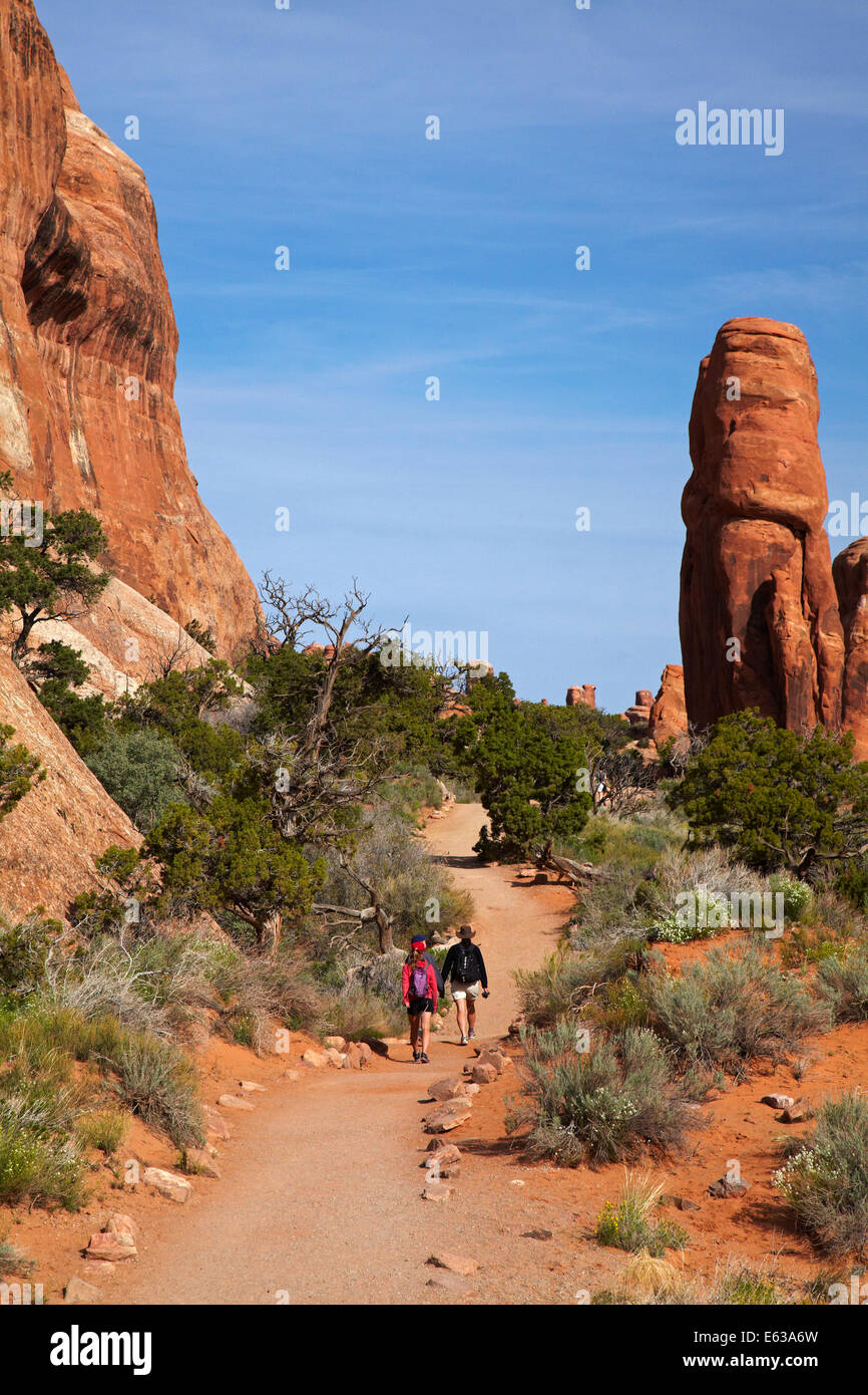 Formazioni di arenaria ed escursionisti sul sentiero di Landscape Arch, Giardino del Diavolo area del Parco Nazionale di Arches, vicino a Moab, Utah, Stati Uniti d'America Foto Stock