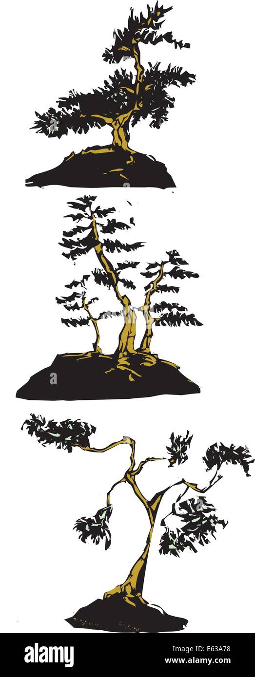 Tre scheda scratch immagini di bonsai giapponese alberi. Illustrazione Vettoriale