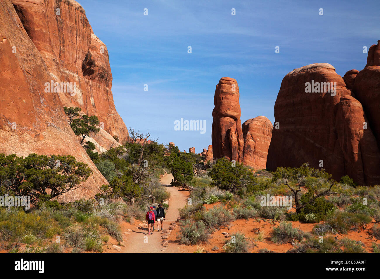 Formazioni di arenaria ed escursionisti sul sentiero di Landscape Arch, Giardino del Diavolo area del Parco Nazionale di Arches, vicino a Moab, Utah, Stati Uniti d'America Foto Stock
