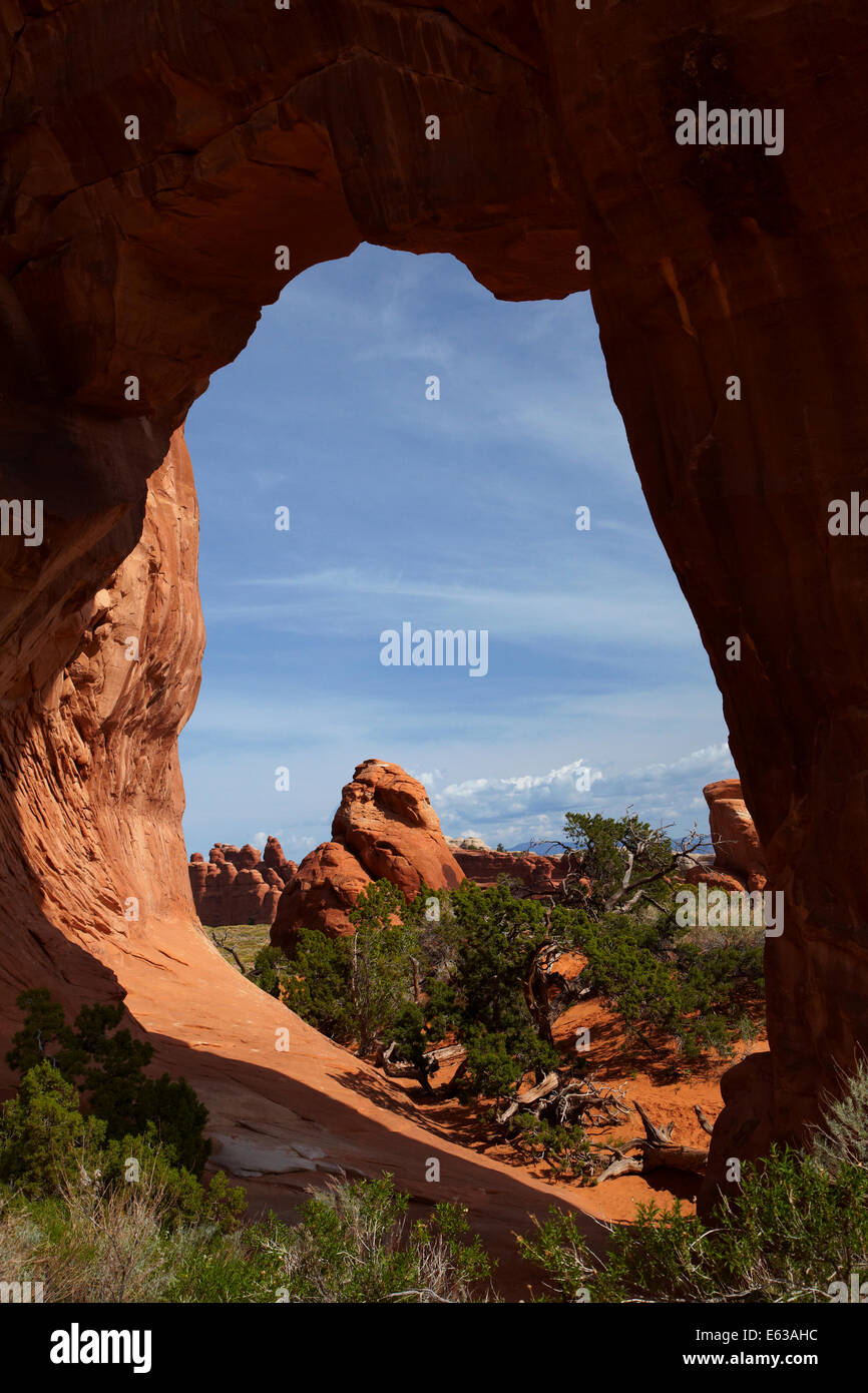 Pino Arch, Giardino del Diavolo area del Parco Nazionale di Arches, vicino a Moab, Utah, Stati Uniti d'America Foto Stock