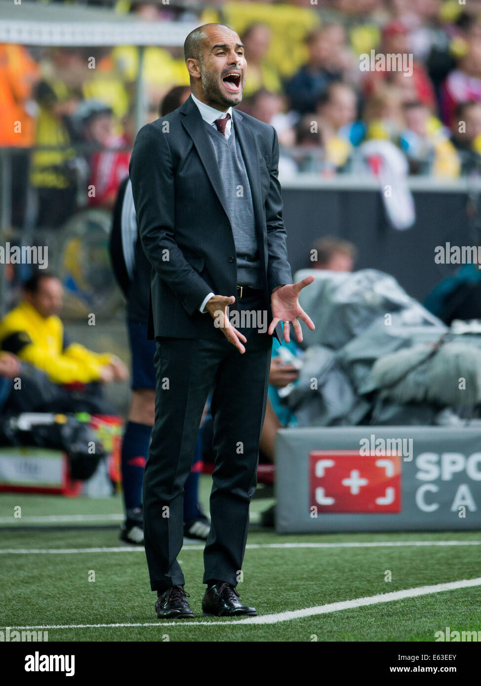 Dortmund, Germania. 13 Ago, 2014. Monaco di Baviera allenatore Pep Guardiola gesticulates durante il DFL Supercup partita di calcio Borussia Dortmund vs FC Bayern Monaco di Baviera al Signal Iduna Park di Dortmund, Germania, il 13 agosto 2014. Foto: Rolf Vennenbernd/dpa/Alamy Live News Foto Stock