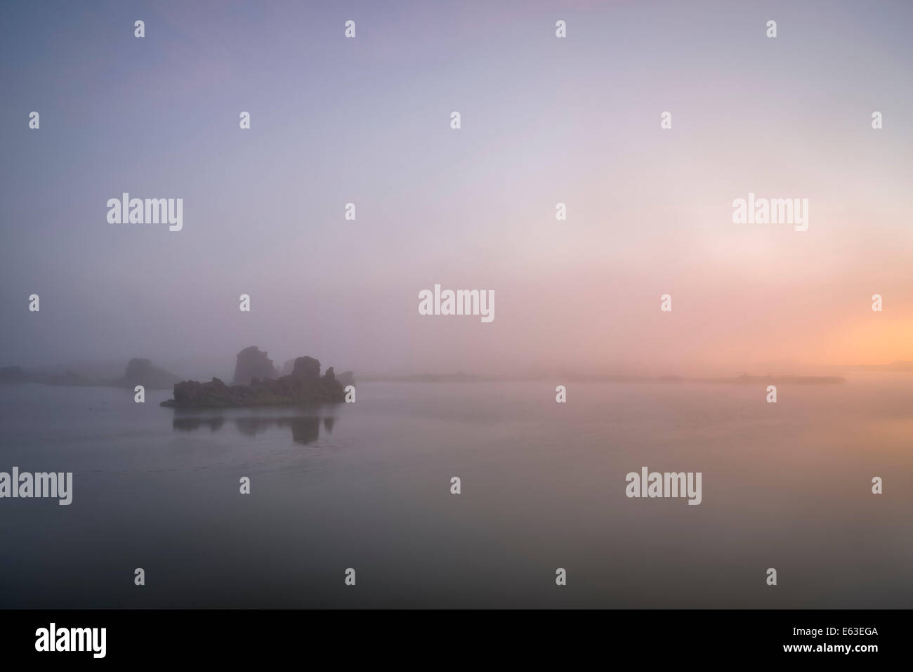 Serata di nebbia, Lago Myvatn, Nord Islanda Foto Stock