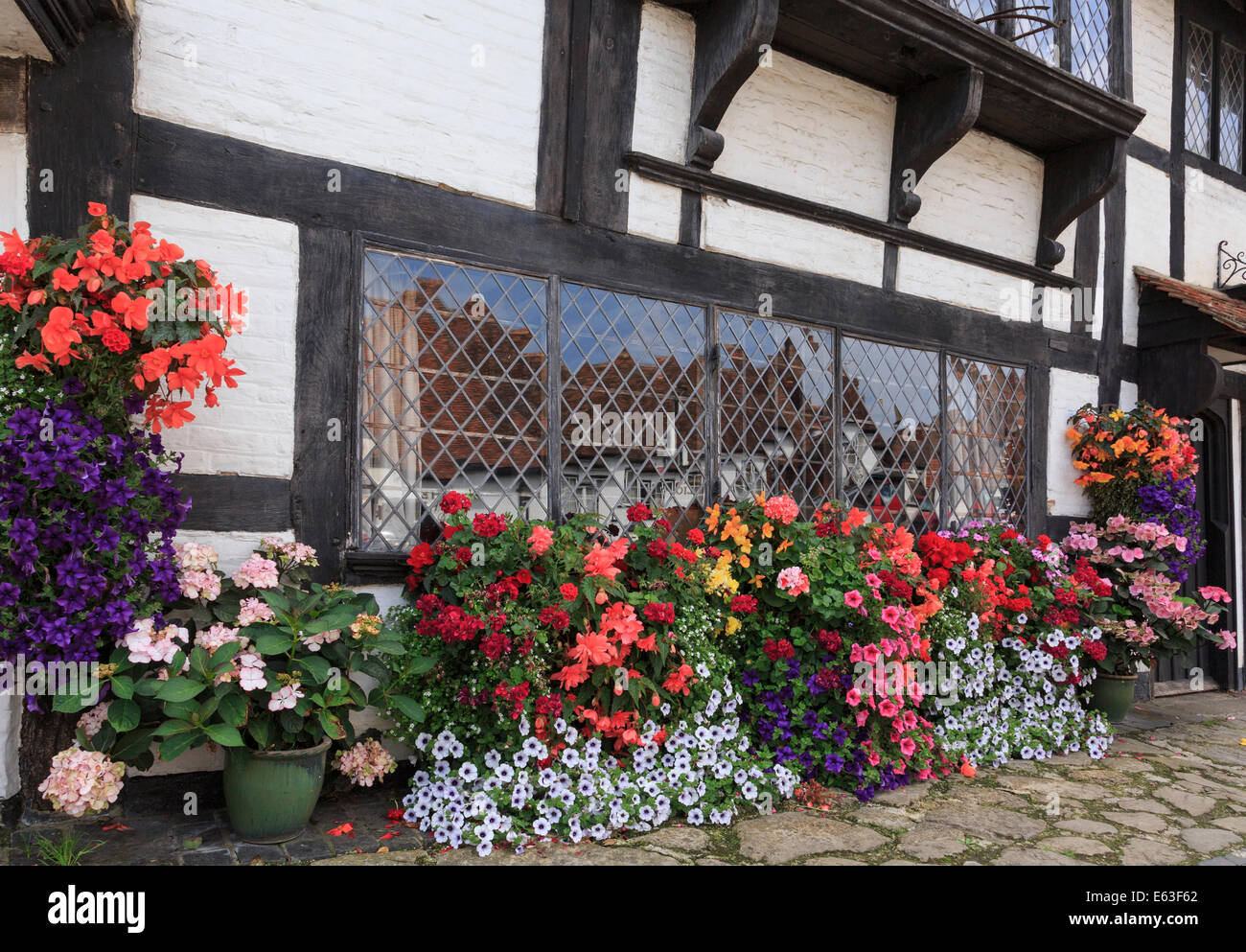 Visualizzazione dei fiori estivi intorno a una finestra sulla parte anteriore di un vecchio edificio con travi di legno in Biddenden, Kent, Inghilterra, Regno Unito, Gran Bretagna Foto Stock