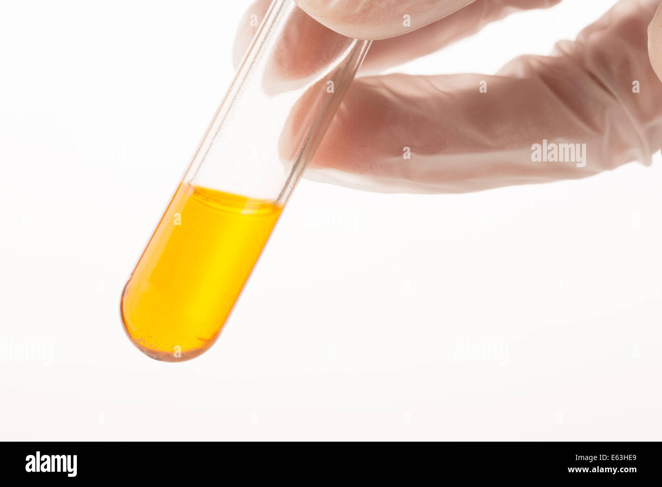 Liquido arancione in provetta pronto per l'analisi. Foto Stock