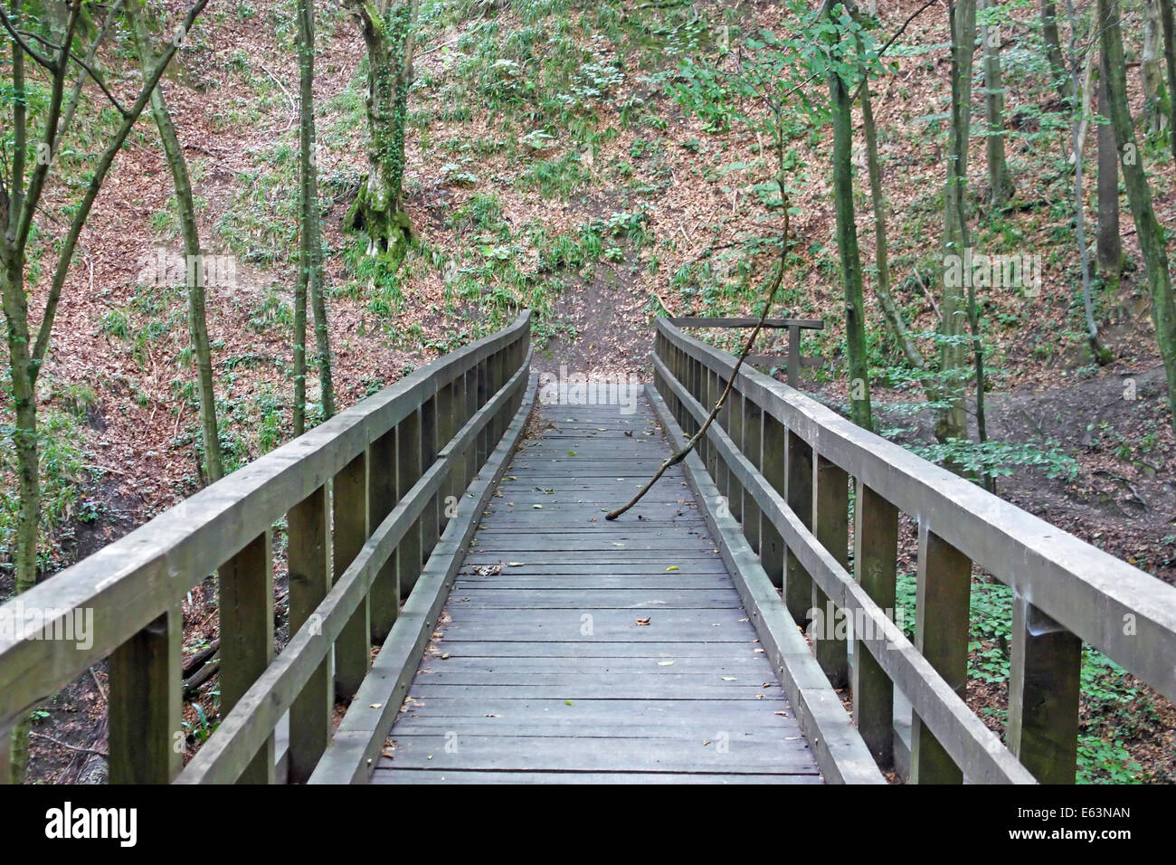 Ponte di legno in deep forest, sentiero escursionistico Foto Stock