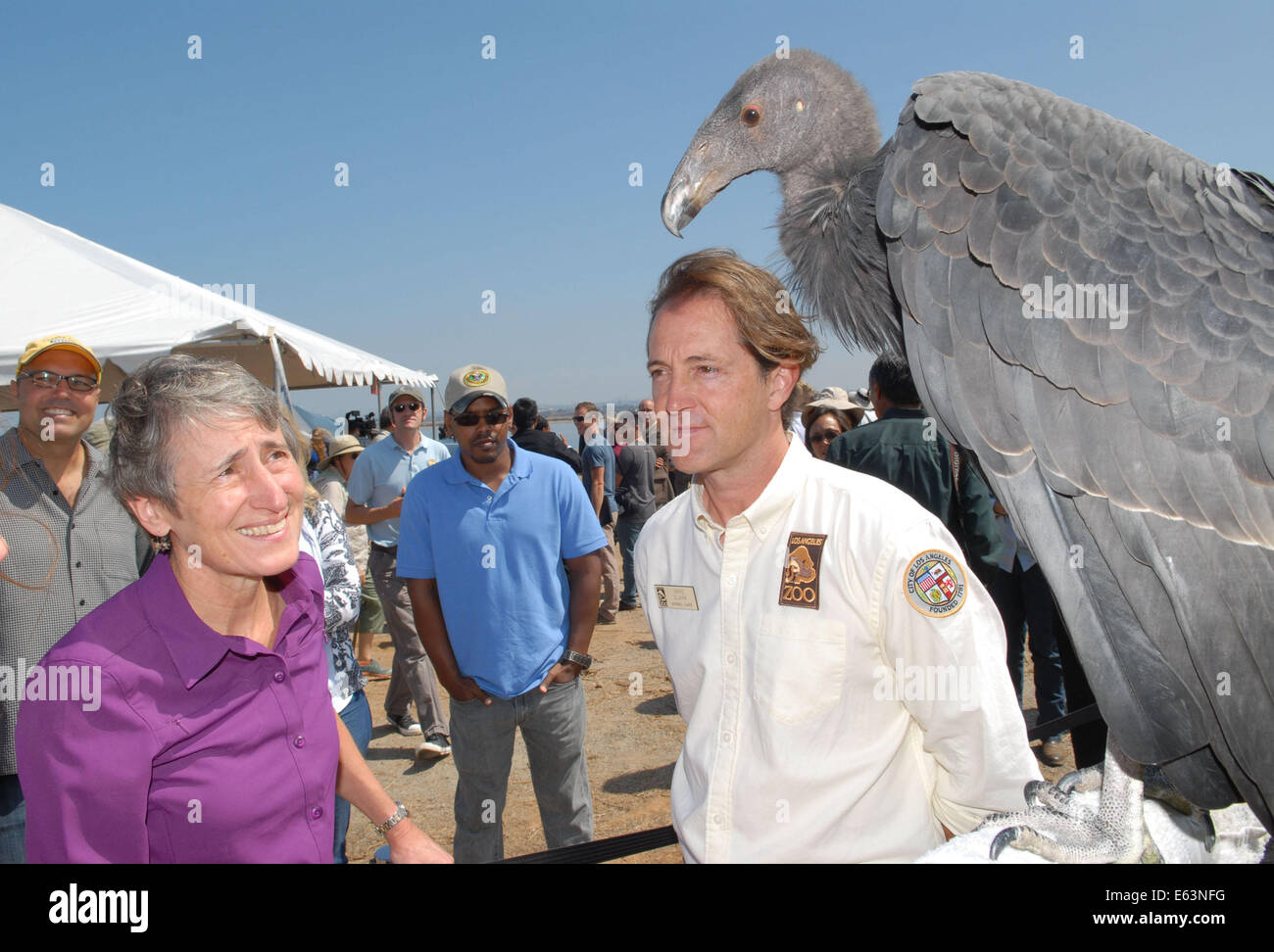 San Diego, California, Stati Uniti d'America. 13 Ago, 2014. Il Segretario degli Interni Sally Jewell interagisce con un immaturo California Condor durante una visita a San Diego National Wildlife Refuge dove ha annunciato che il San Diego National Wildlife Refuge complesso avrebbe ricevuto un supplemento di $ 1 milioni di euro in finanziamenti per raggiungere un nuovo pubblico e innestare la California del Sud comunità urbane e la gioventù nella conservazione e attività ricreative all'aperto. Il rifugio è il primo tra la nazione urbana della National Wildlife rifugi per ricevere questo nuovo premio attraverso un concorso nazionale. Il rifugio la proposta vincente, th Foto Stock