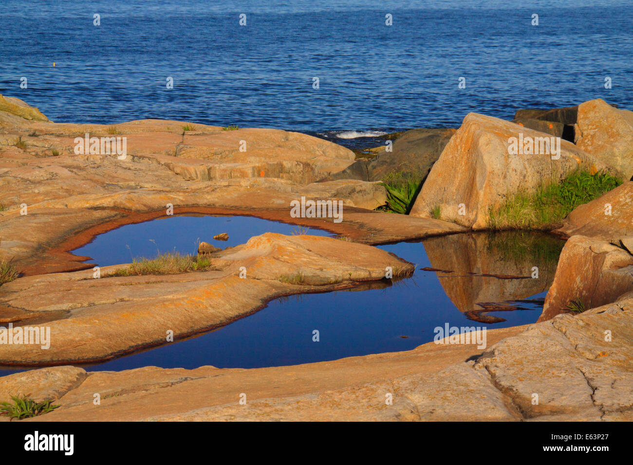 Punto Schoodic, Schoodic Peninsula, Parco Nazionale di Acadia, Maine, Stati Uniti d'America Foto Stock