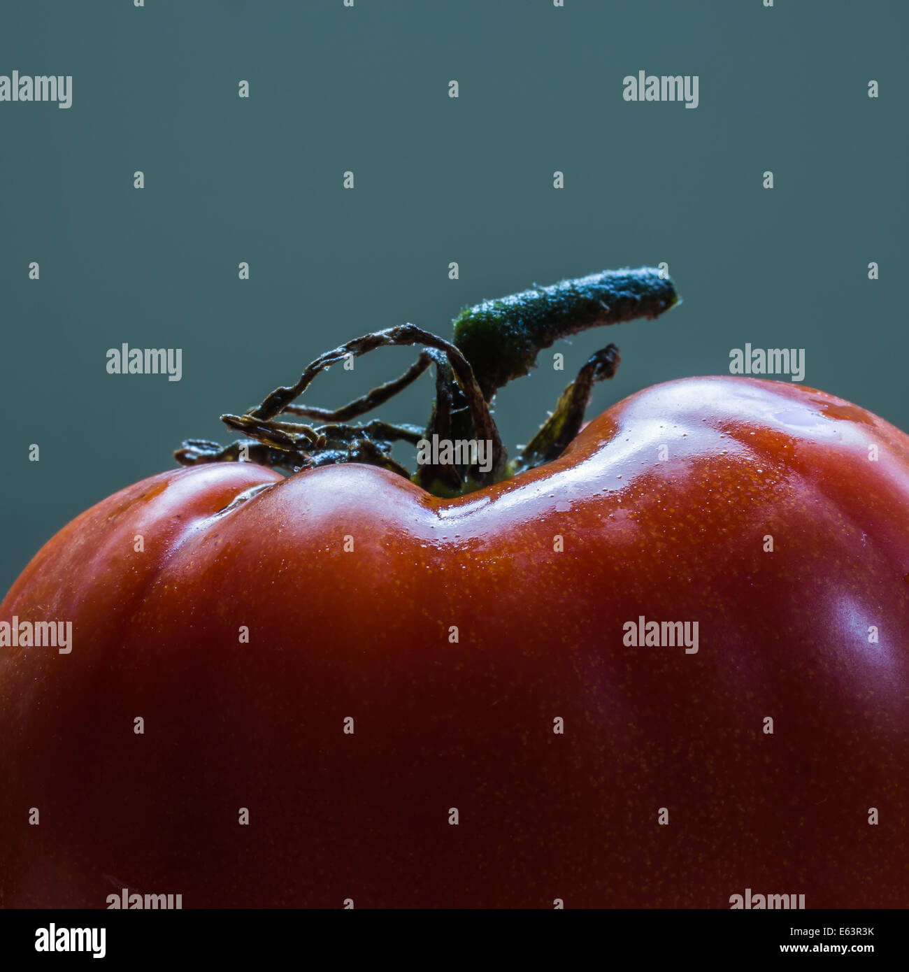 Un freschi maturi cimelio di pomodoro. Foto Stock