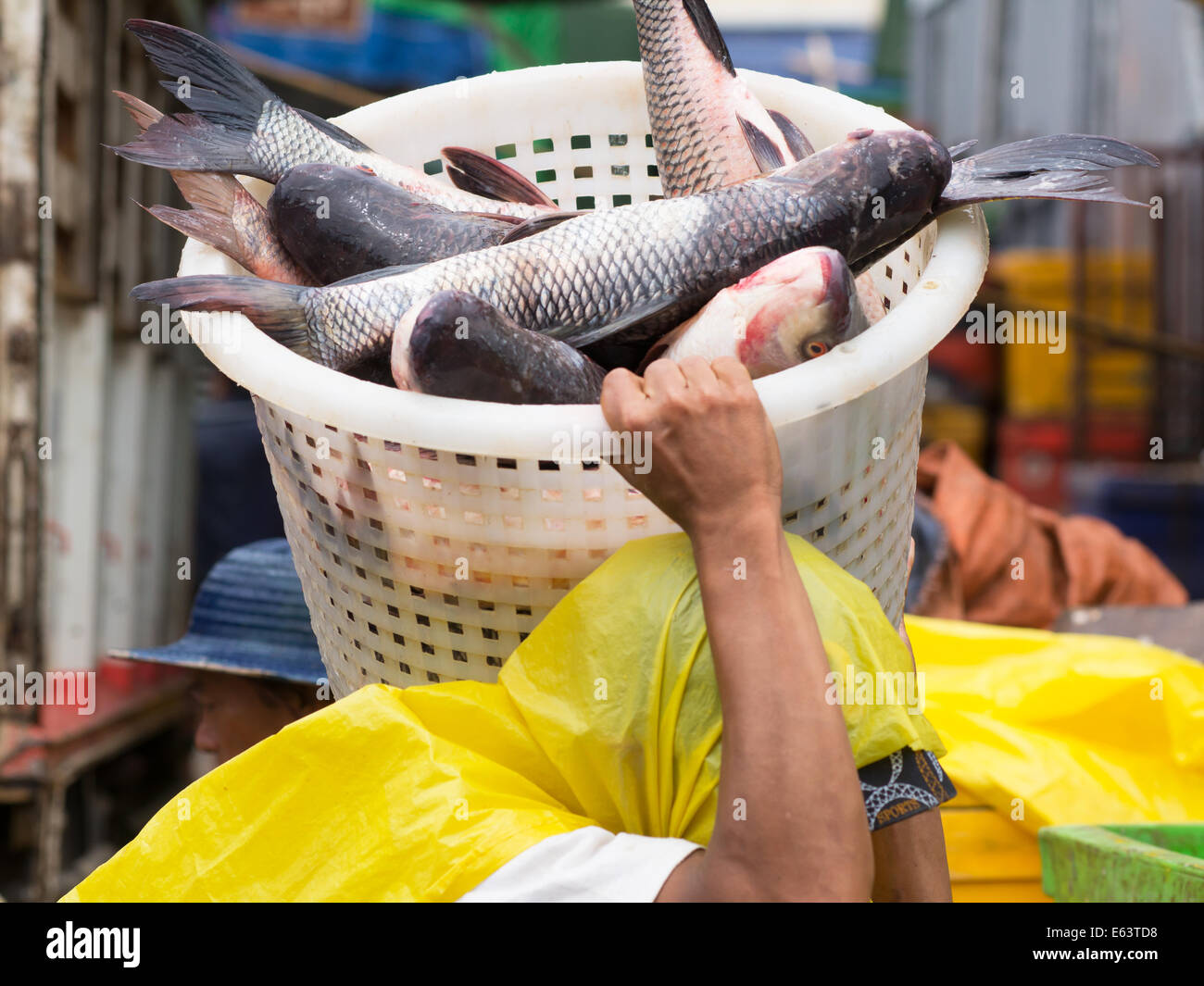Lavoratore che trasportano carpa in un cesto in plastica a un mercato di pesce a Yangon, Myanmar. Foto Stock