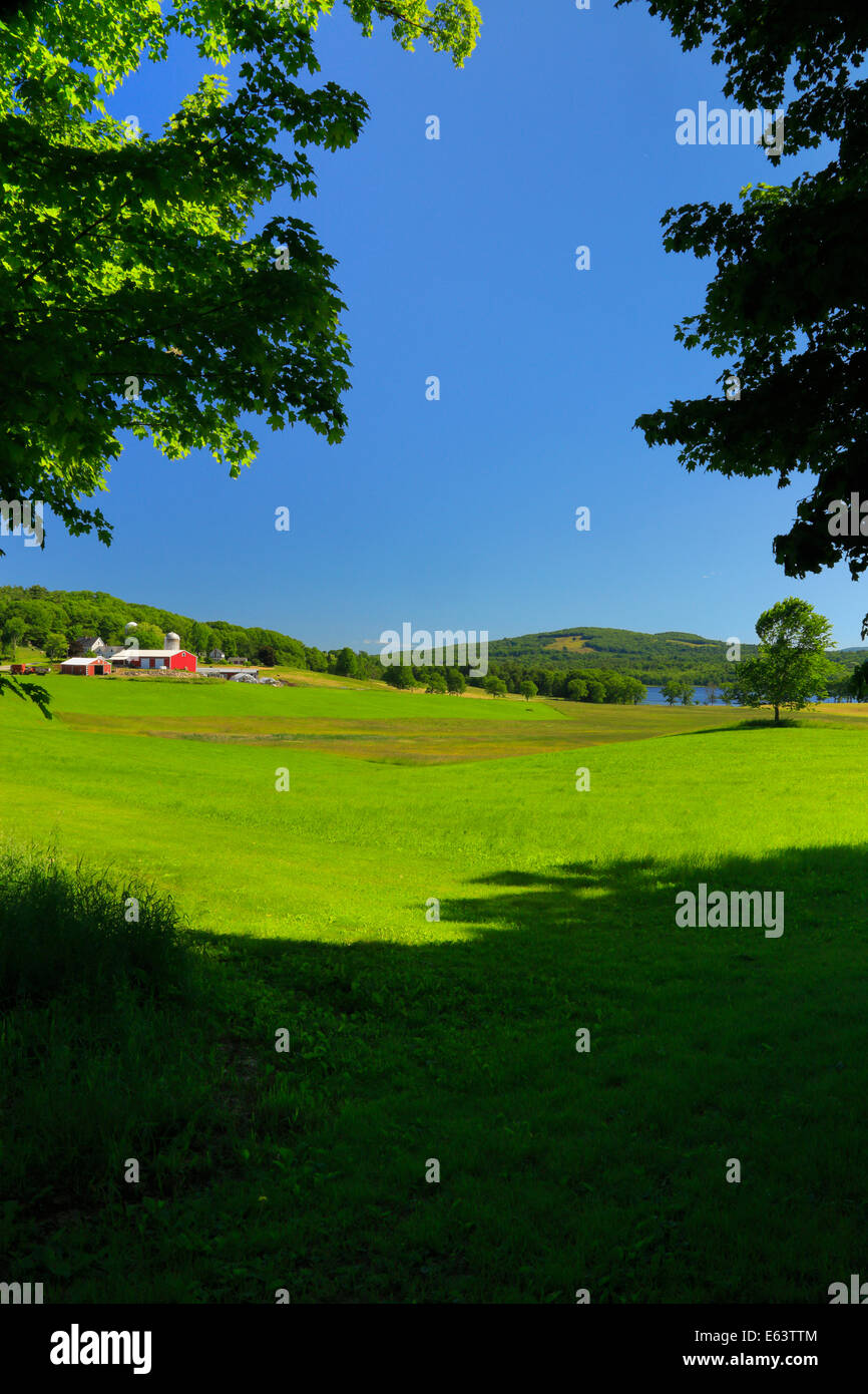 Granaio, unione, Maine, Stati Uniti d'America Foto Stock