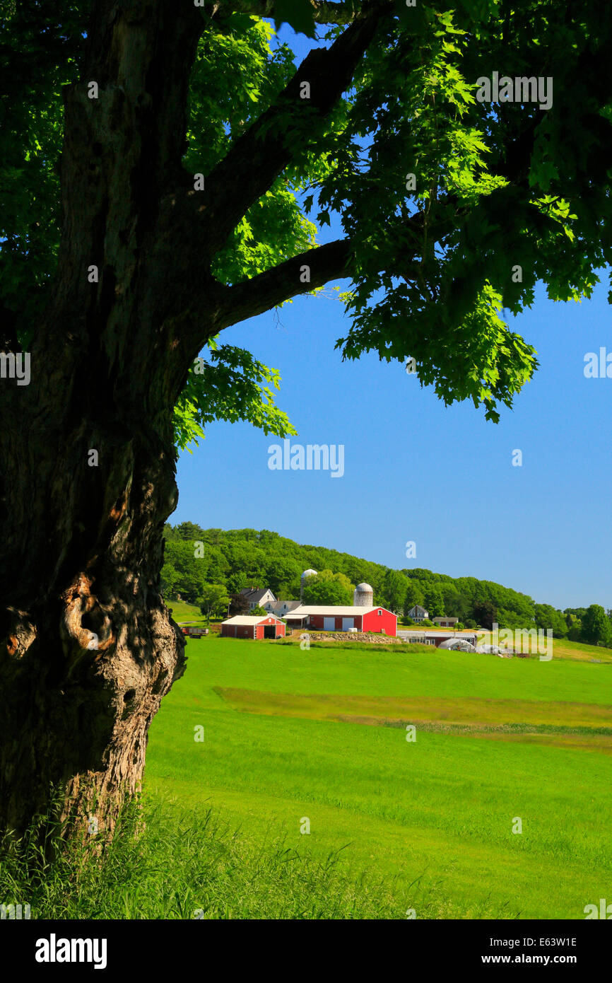 Granaio, unione, Maine, Stati Uniti d'America Foto Stock