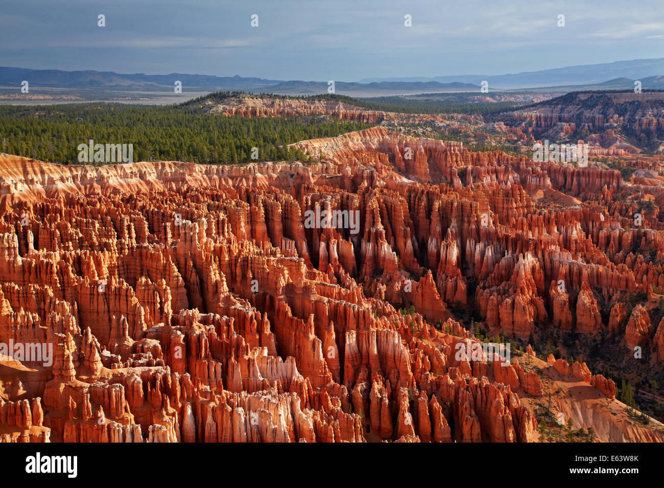 Hoodoos nel Bryce anfiteatro, visto dal punto di ispirazione, Parco Nazionale di Bryce Canyon, Utah, Stati Uniti d'America Foto Stock