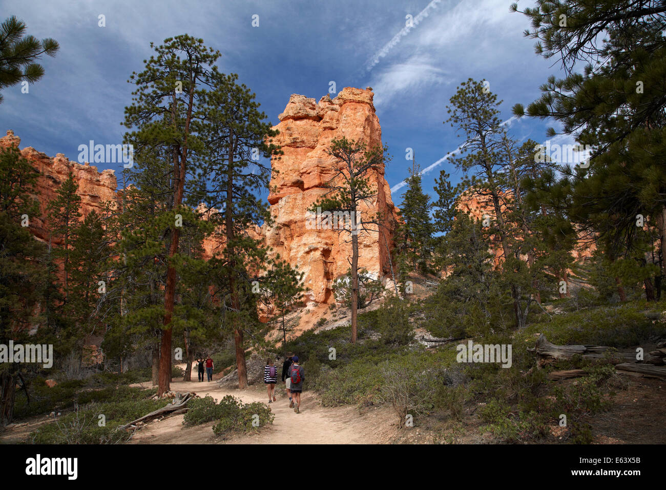 Gli escursionisti su Queen's Garden Trail attraverso hoodoos, Parco Nazionale di Bryce Canyon, Utah, Stati Uniti d'America Foto Stock