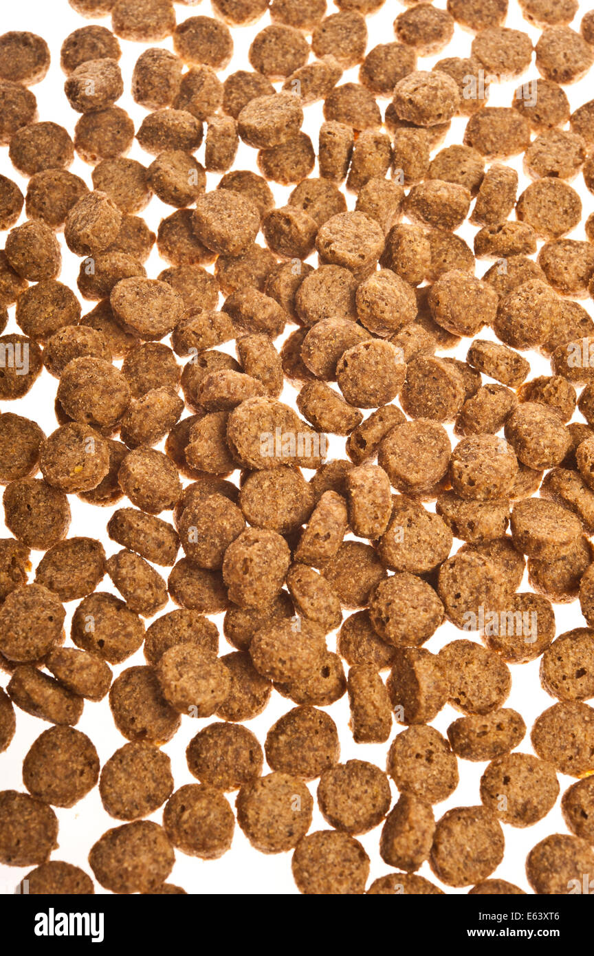 Cibo secco per cane Foto Stock