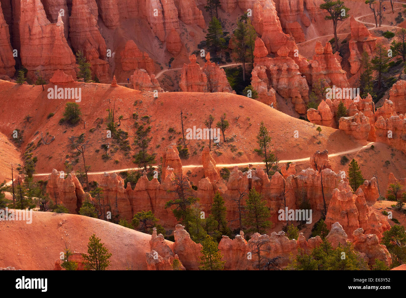Queen's Garden Trail attraverso hoodoos, Parco Nazionale di Bryce Canyon, Utah, Stati Uniti d'America Foto Stock