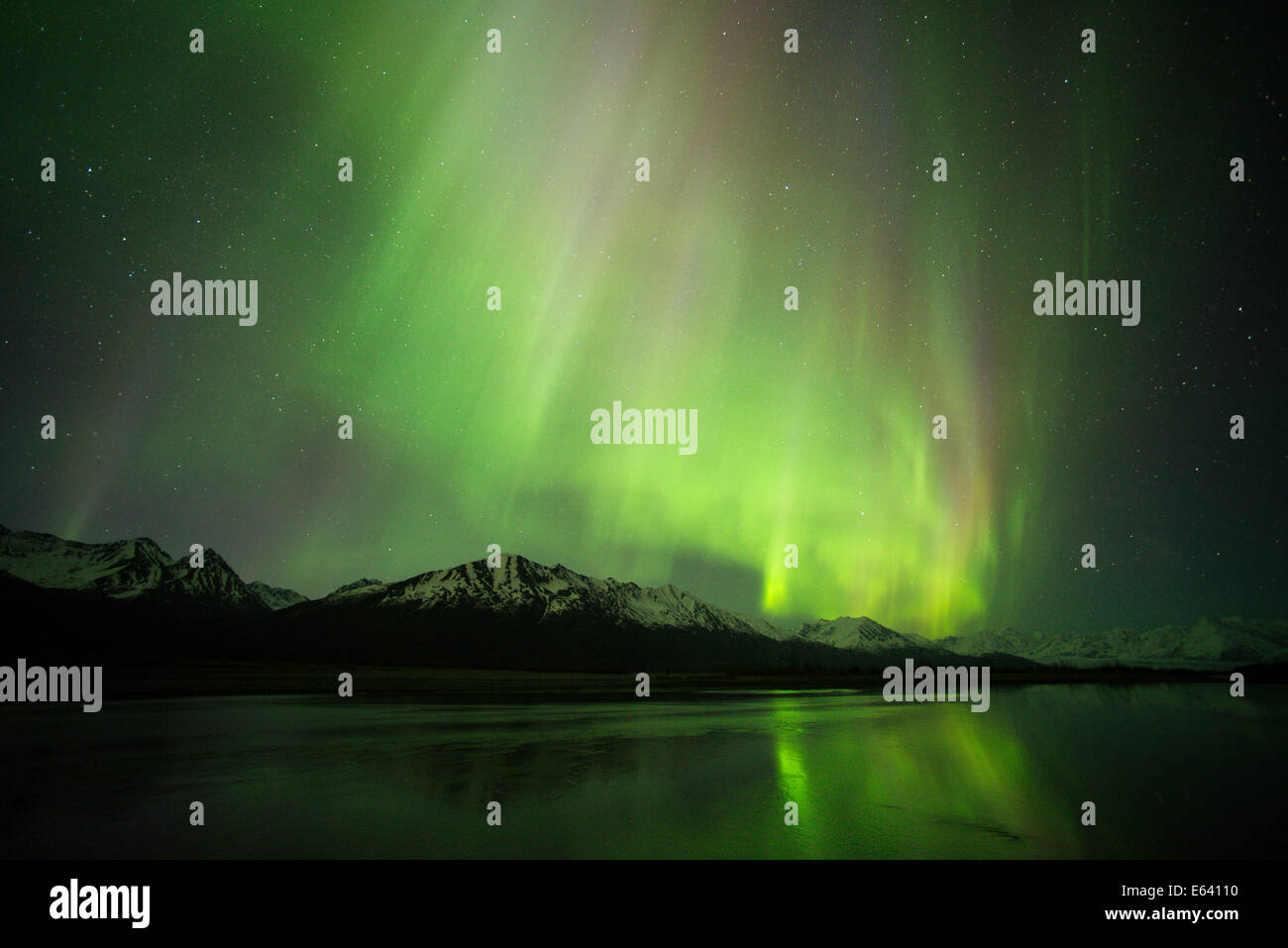 Aurora boreale, Chugach Range, Knik River Valley, Alaska, STATI UNITI D'AMERICA Foto Stock