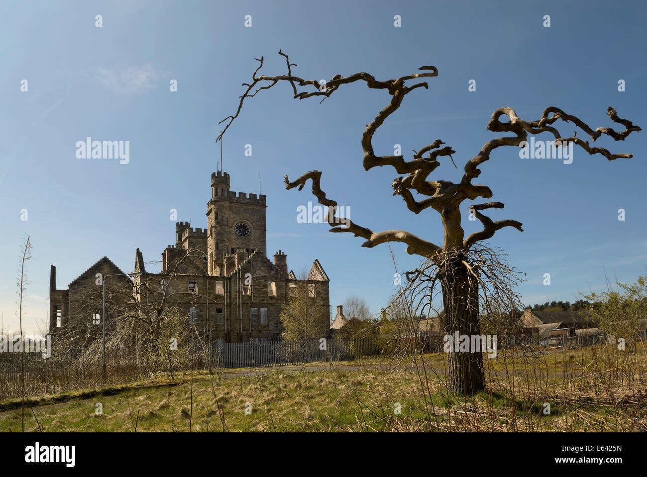 Morto struttura scheletrica nei giardini dell Ospedale Hartwood Lanarkshire. Foto Stock