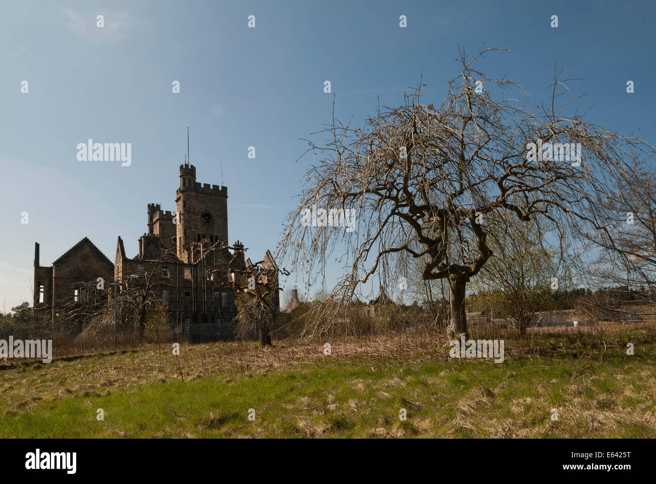 Morto struttura scheletrica nei giardini dell Ospedale Hartwood Lanarkshire. Foto Stock