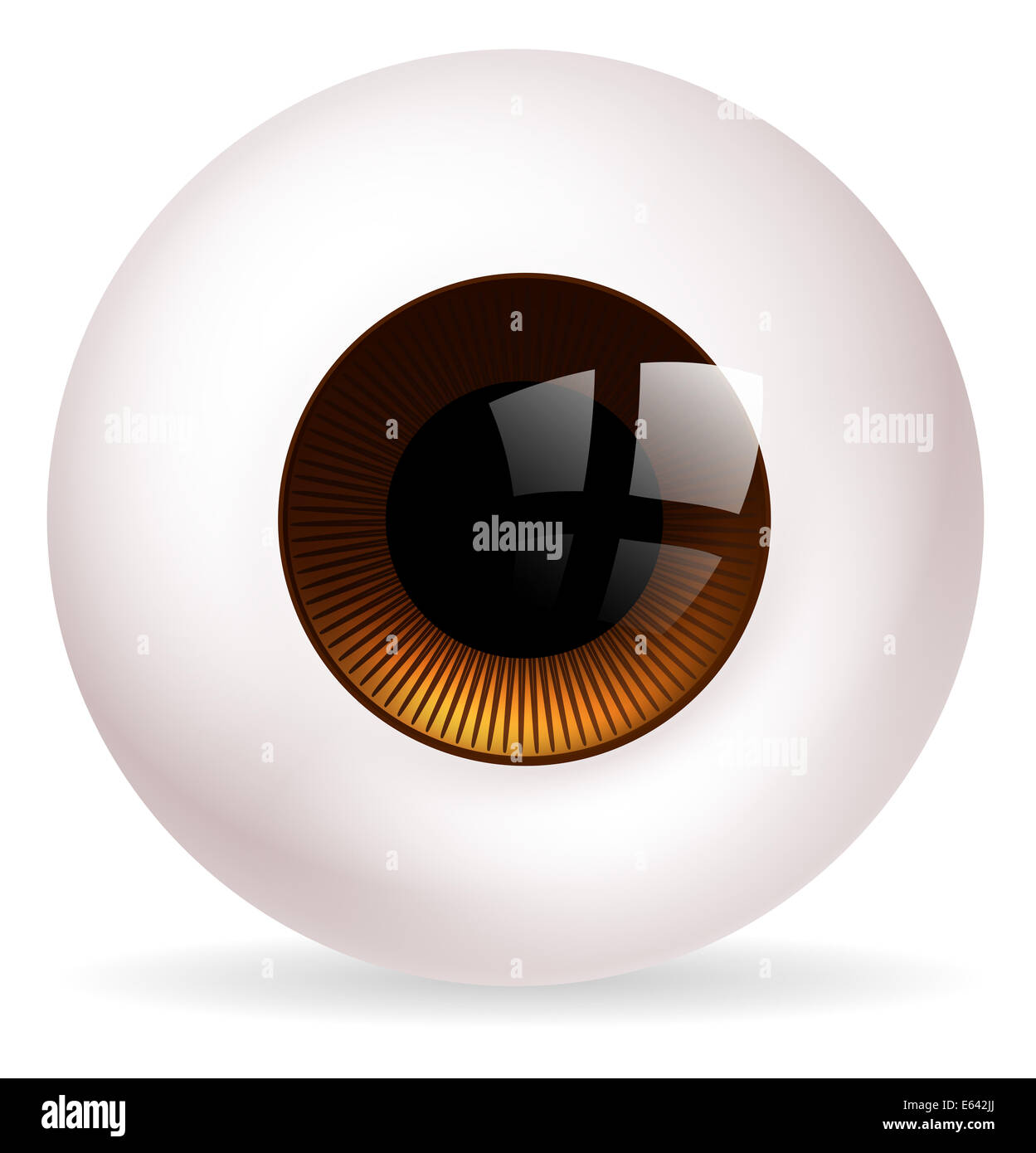 Una illustrazione di un grande occhio rotondo a sfera o bulbo oculare Foto Stock