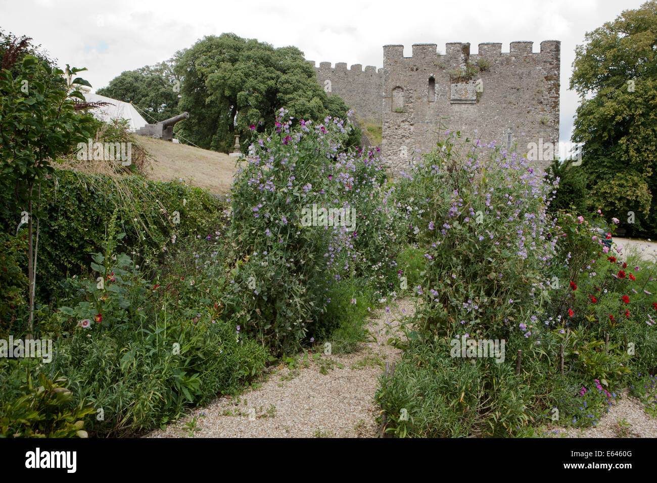 La casa e raffinati giardini nel parco del castello di Trematon, nr Saltash Cornwall, la sua proprietà di Prince Charles, e locato, Foto Stock