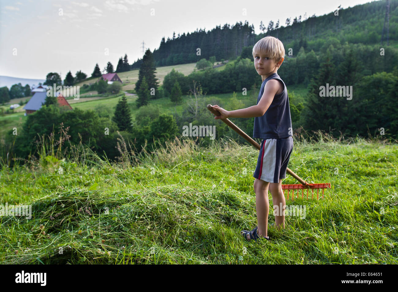 Ragazzo con rastrello Foto Stock