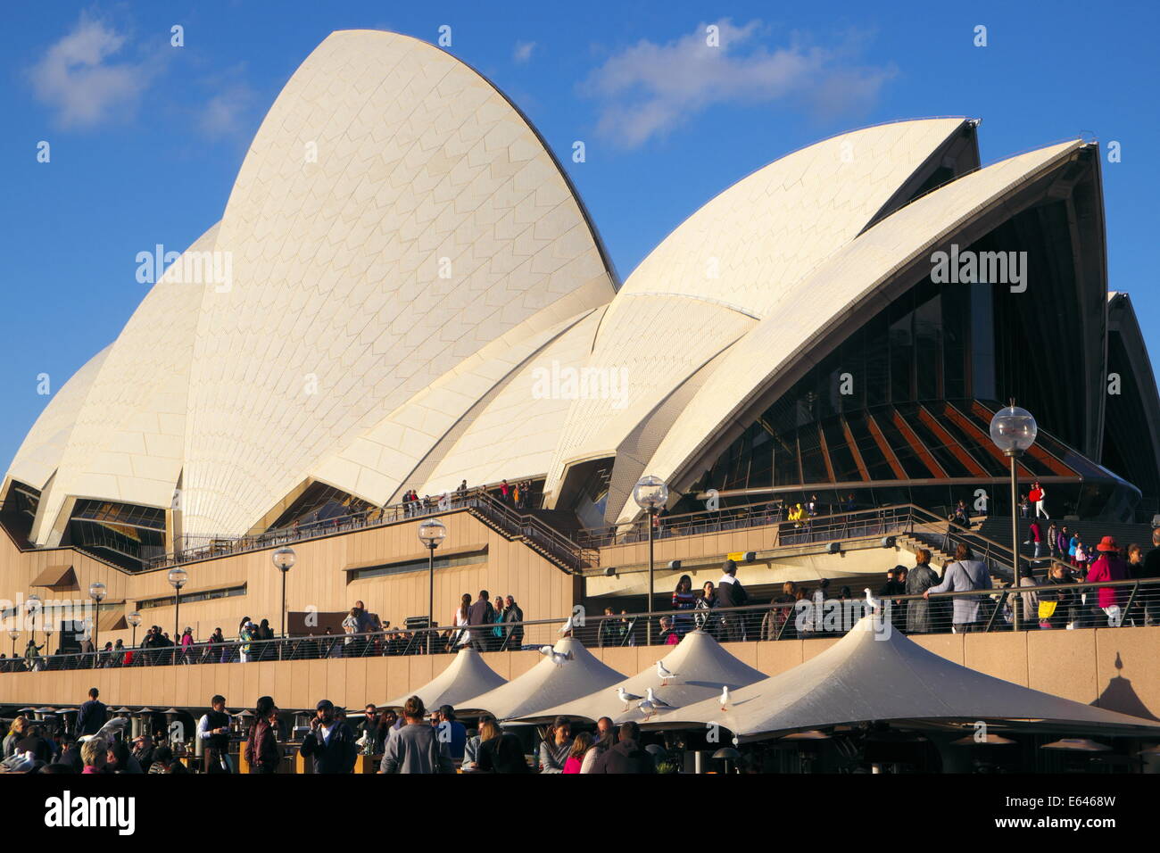 La Sydney Opera House e su un giorno di agosto,l'australia Foto Stock
