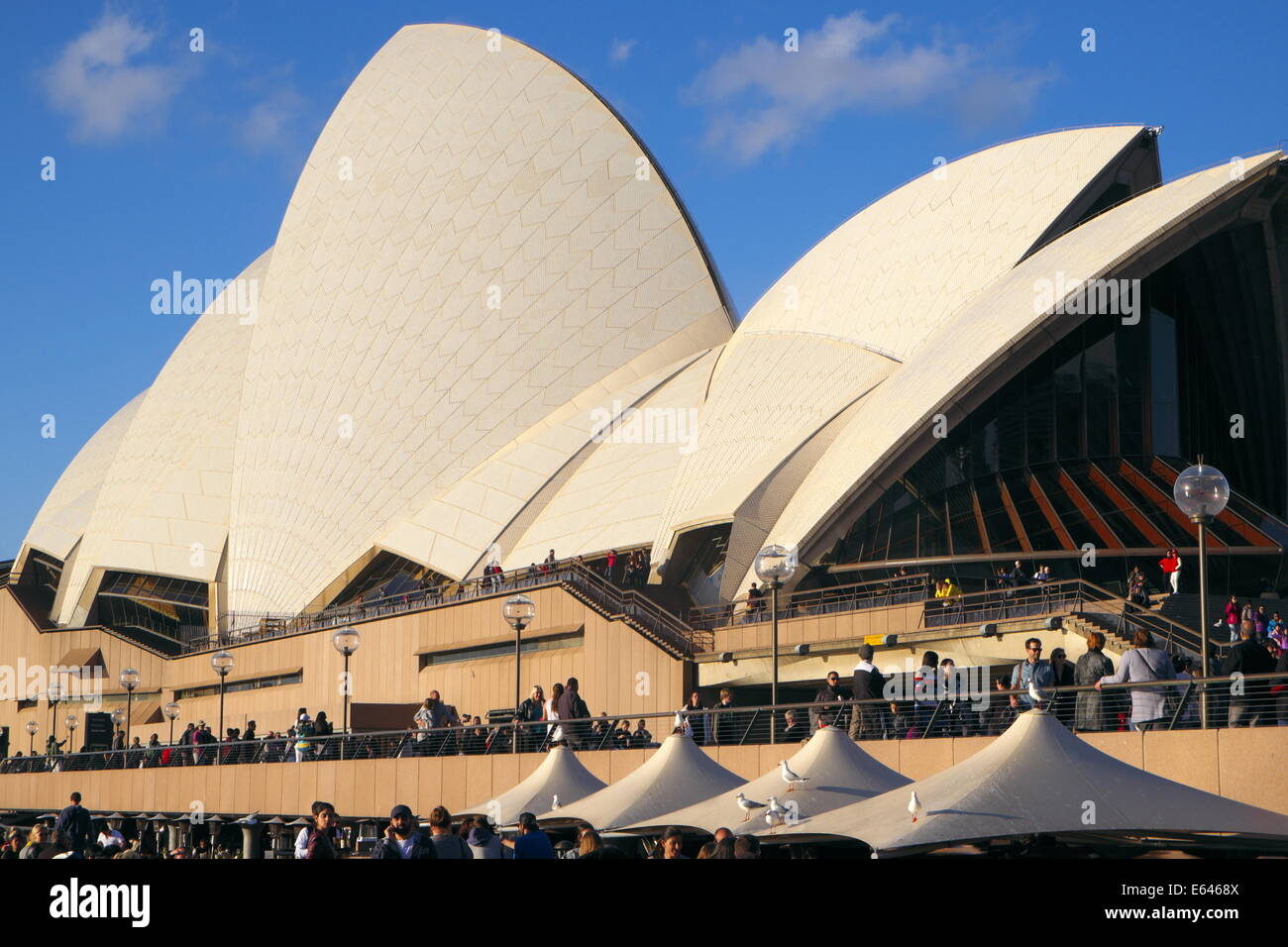 La Sydney Opera House e su un giorno di agosto,l'australia Foto Stock