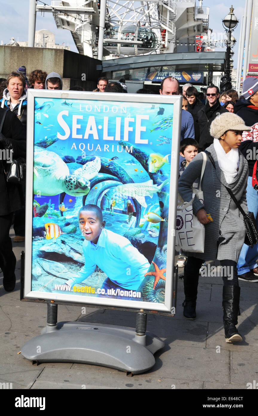 LONDON, Regno Unito - 5 Marzo 2011: Sea Life Aquarium segno situato sulla riva sud del fiume Tamigi nel centro di Londra Foto Stock