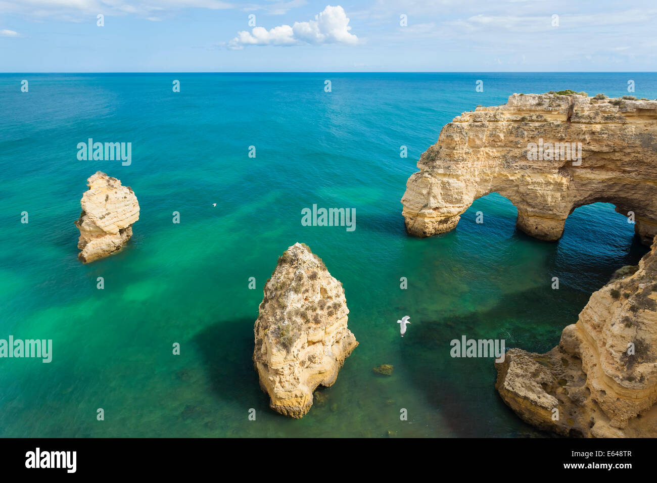 Costa, Praia da Marinha, Algarve, PORTOGALLO Foto Stock