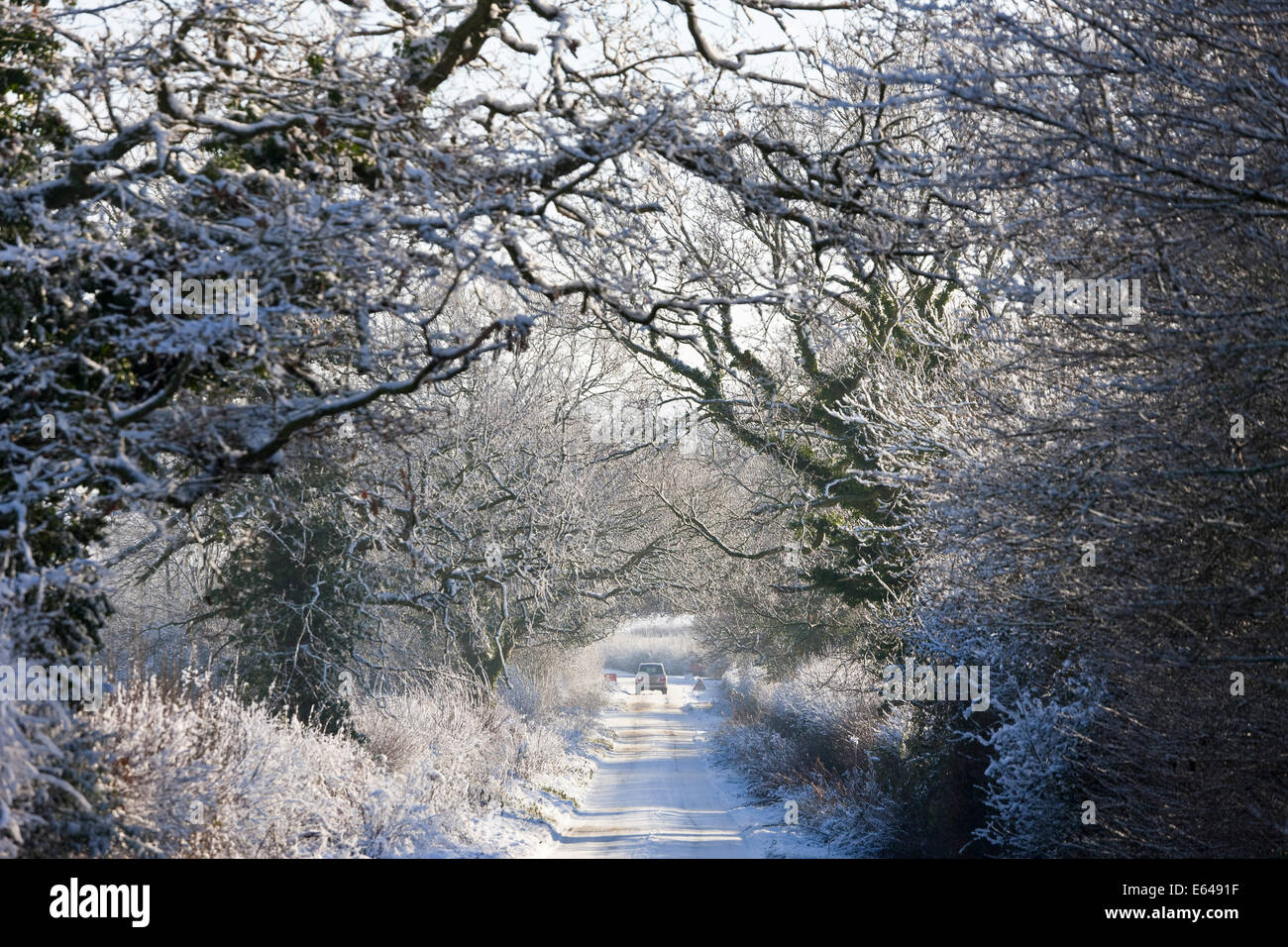 Vicolo del paese con la neve, nr Chipping Sodbury, South Gloucestershire Foto Stock