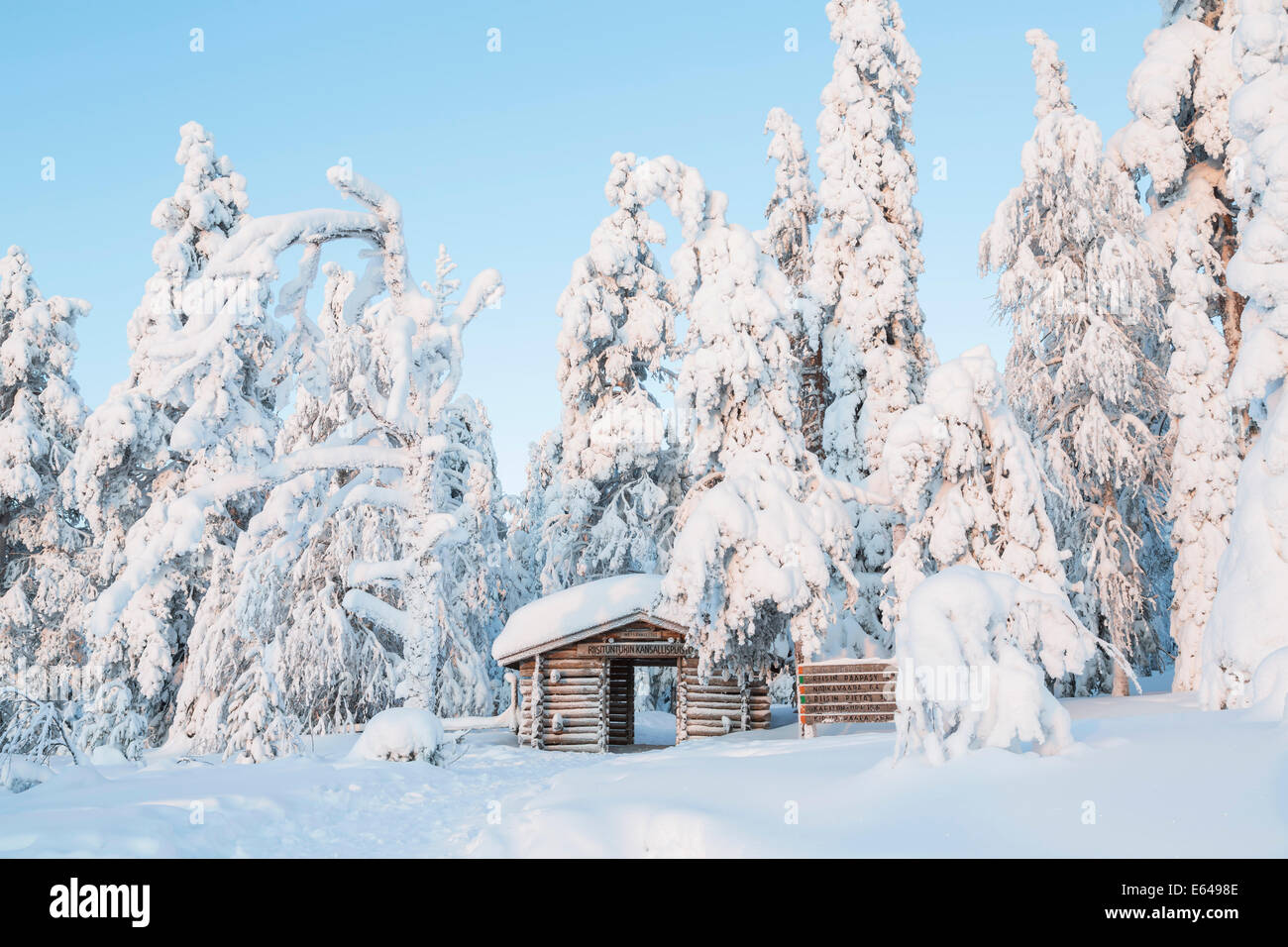 Inverno in Riisitunturi National Park, Lapponia, Finlandia Foto Stock