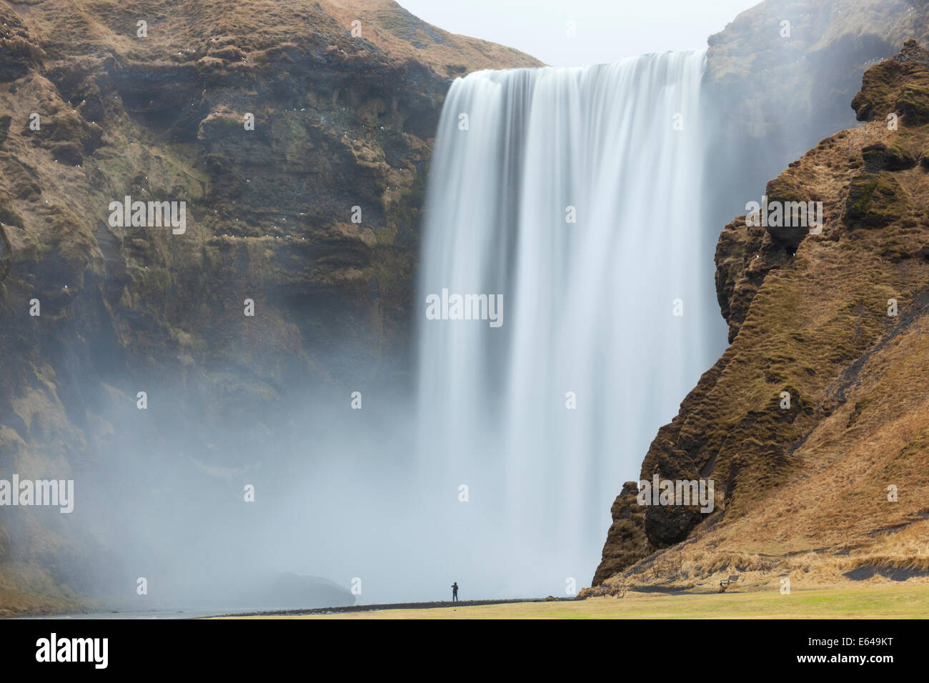 Cascata Skogafoss sud ovest dell'Islanda Foto Stock