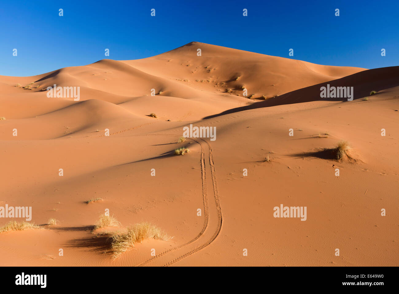 Dune Erg Chebbi, il Deserto del Sahara, Marocco Foto Stock