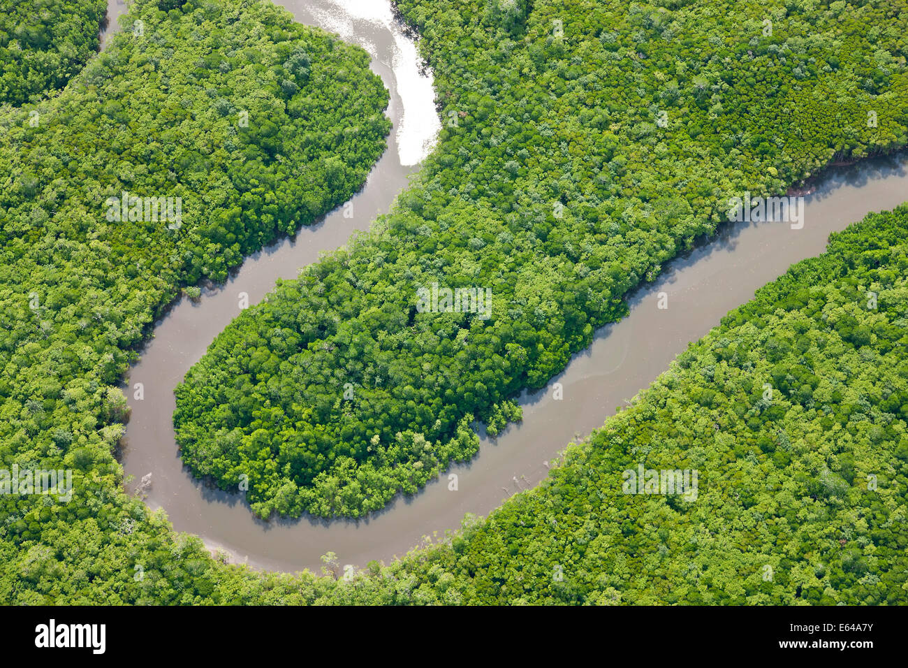Vista aerea della foresta pluviale, Fiume Daintree, Parco Nazionale Daintree, Queensland Australia Foto Stock