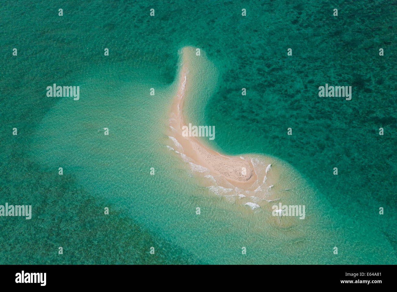 Undine Reef Great Barrier Reef Marine Park North Queensland Australia antenna Foto Stock