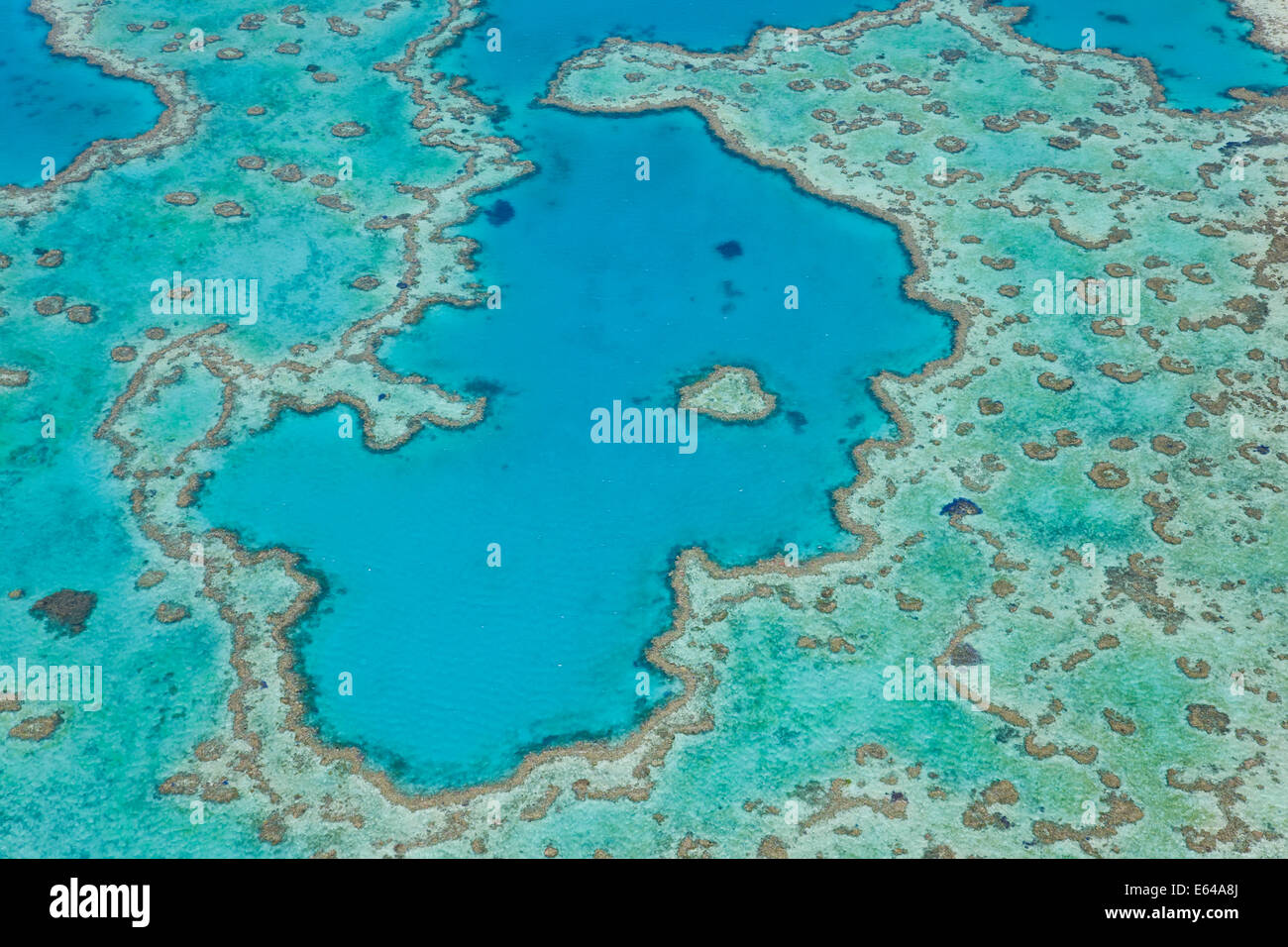 Vista aerea del cuore Reef, parte della Grande Barriera Corallina, Queensland, Australia Foto Stock