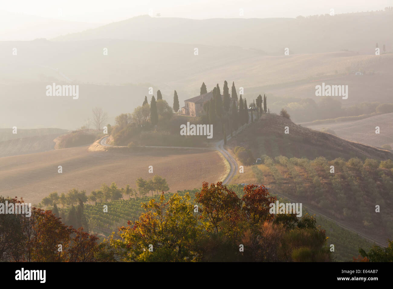 La mattina presto, Val d'Orcia, Toscana, Italia Foto Stock