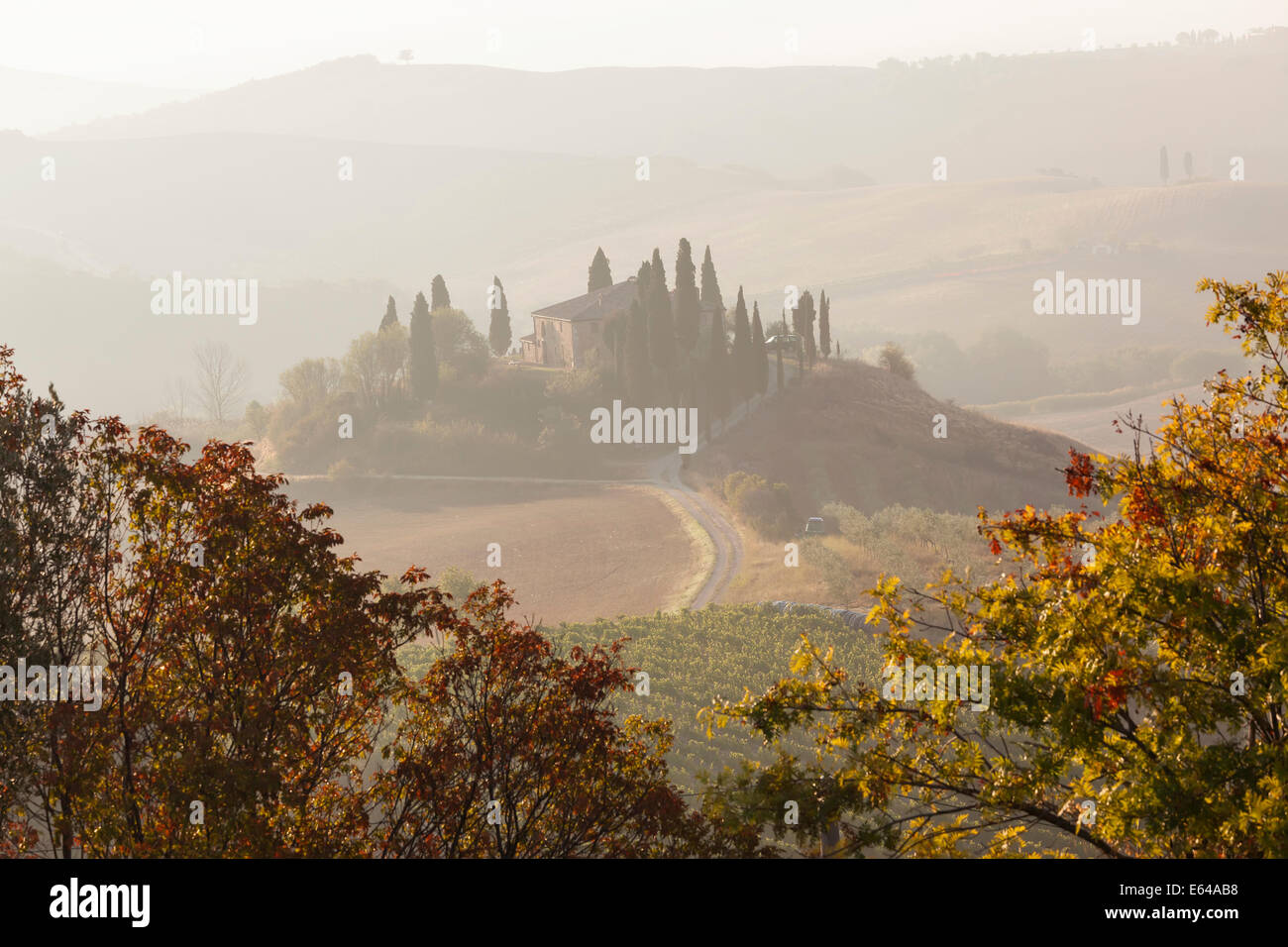 La mattina presto, Val d'Orcia , Toscana, Italia Foto Stock