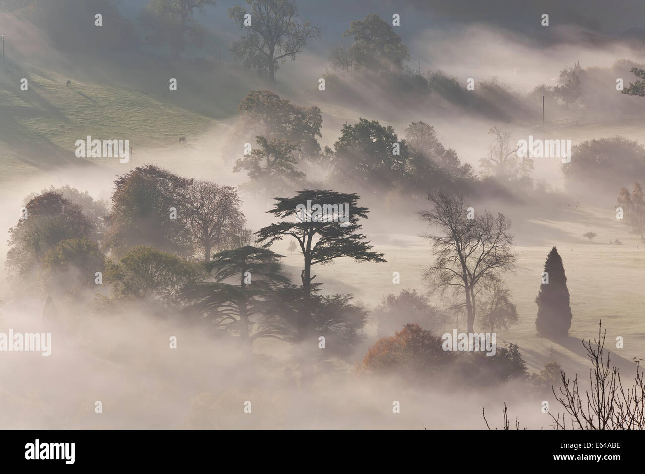Nebbiosa mattina autunnale, Uley, Gloucestershire, Regno Unito Foto Stock