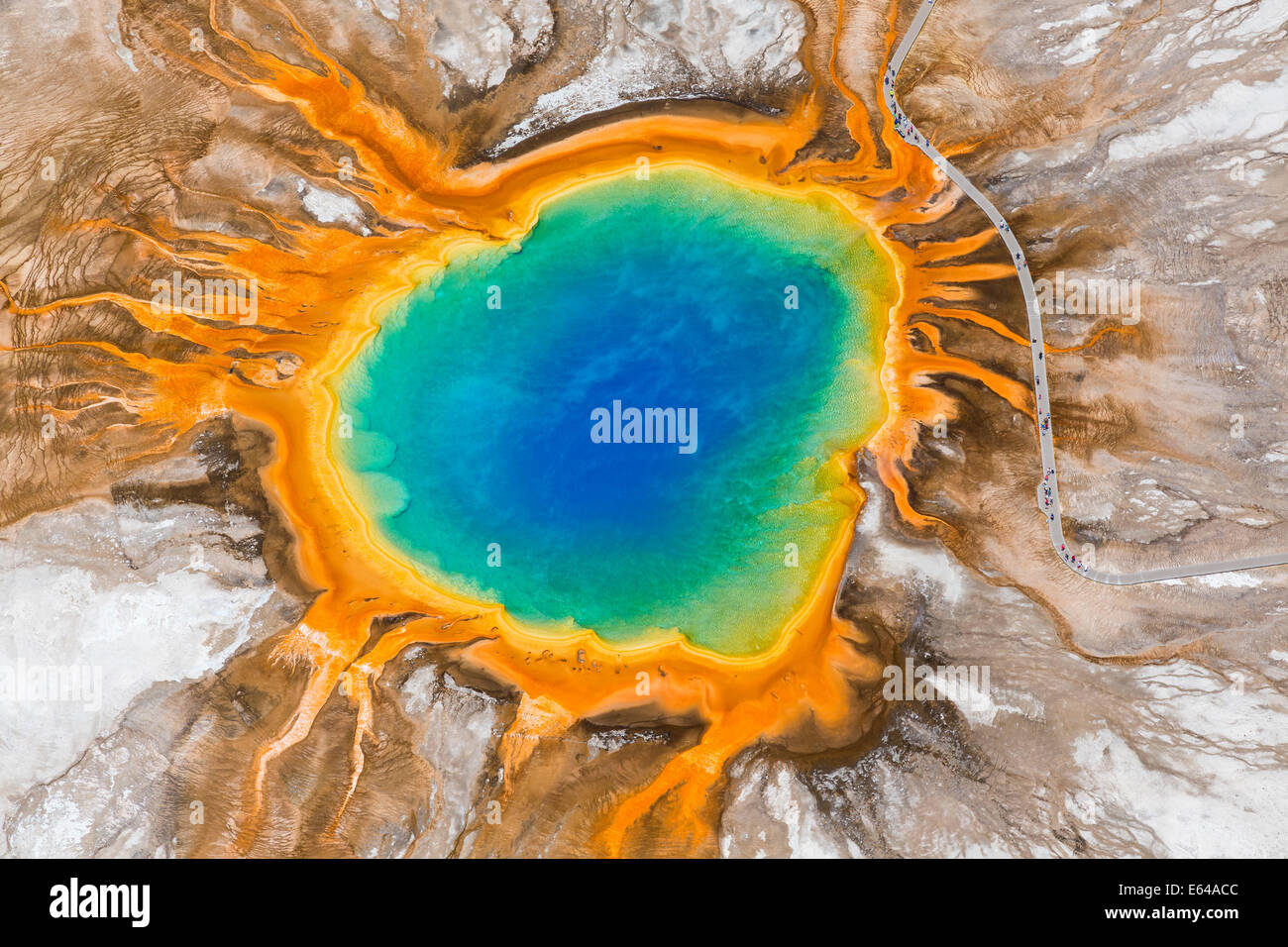 Grand Prismatic Spring, Midway Geyser Basin, il Parco Nazionale di Yellowstone, Wyoming USA Foto Stock