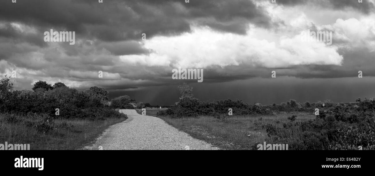 Greenham Common su un moody sera Foto Stock