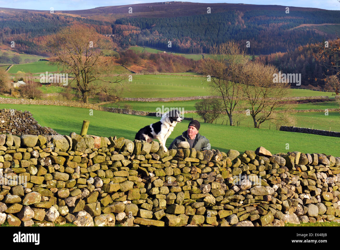 Allevatore ovino con il suo cane su una parete di stalattite, Yorkshire Dales. Foto Stock