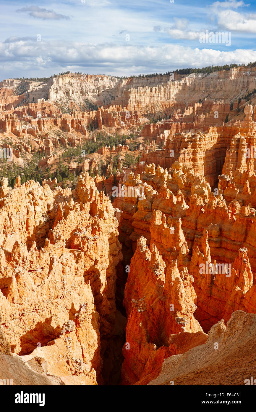 Bryce Canyon. Utah, Stati Uniti d'America. Foto Stock