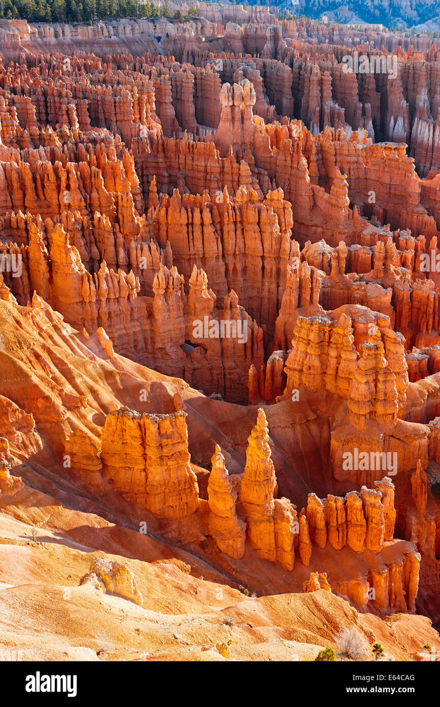 Vista degli hoodoos rossi dal punto di ispirazione nel Bryce Canyon. Utah, Stati Uniti. Foto Stock