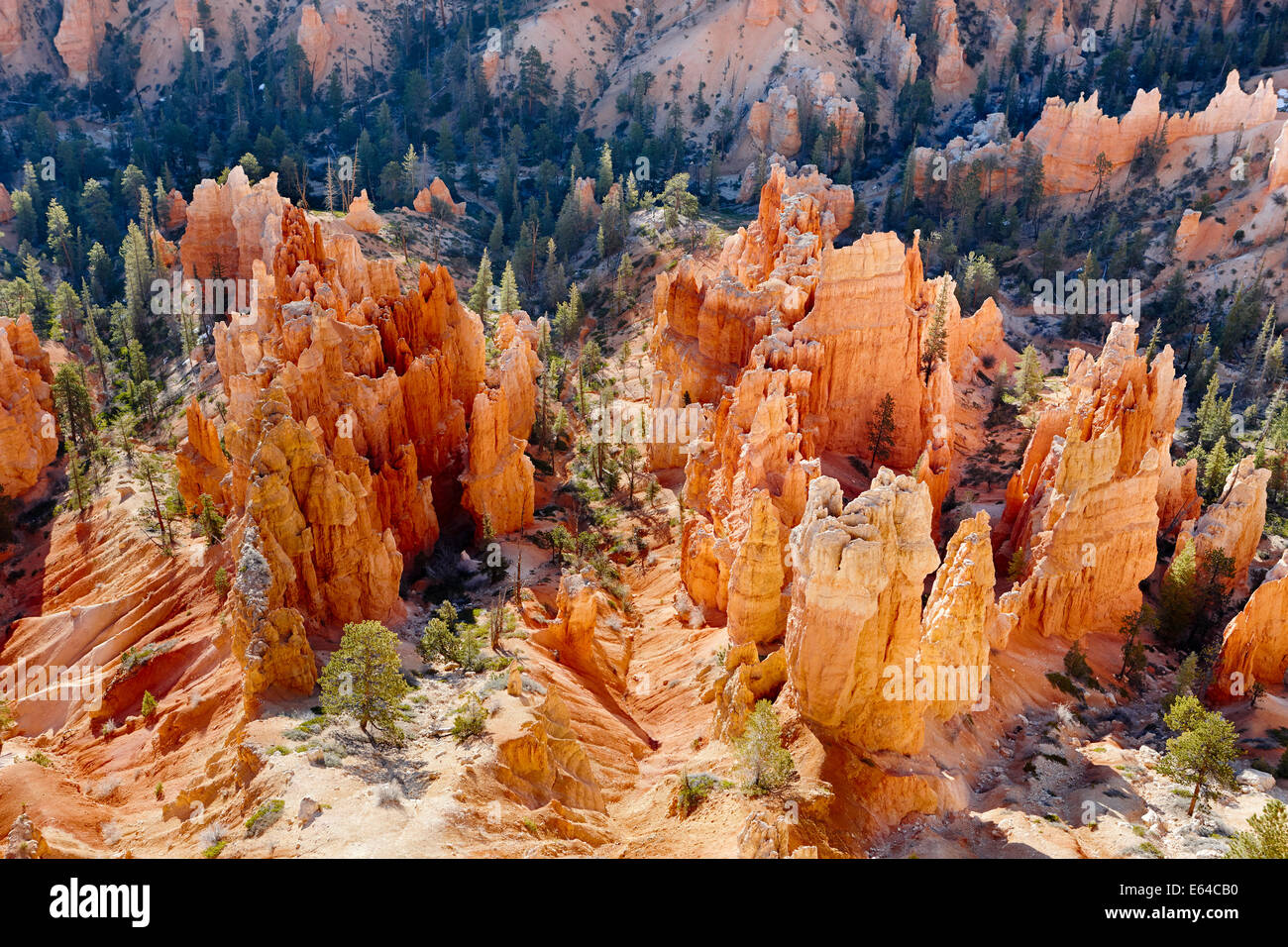 Bryce Canyon. Utah, Stati Uniti d'America. Foto Stock